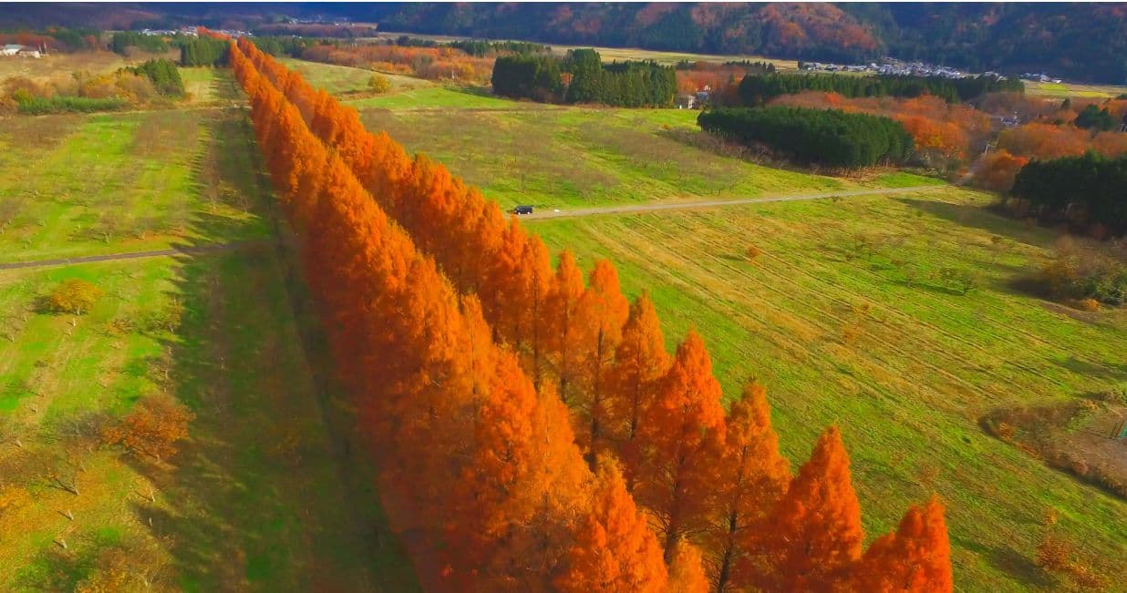 イオ光 テレビ ムーブメントラボ